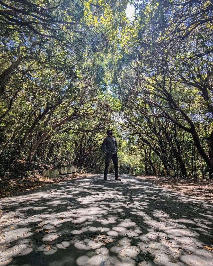 Let nature be your guide 🪄 Riverston, Sri Lanka