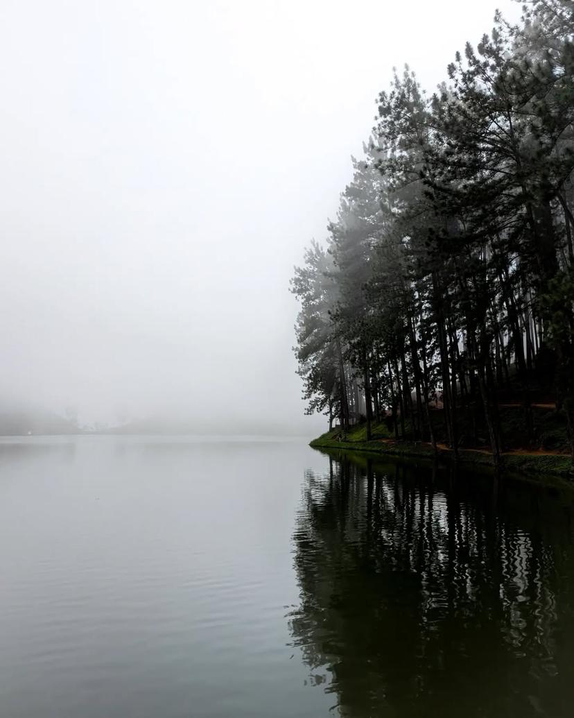 Let the mist carry away your worries. Sembuwatha Lake Matale, Sri Lanka